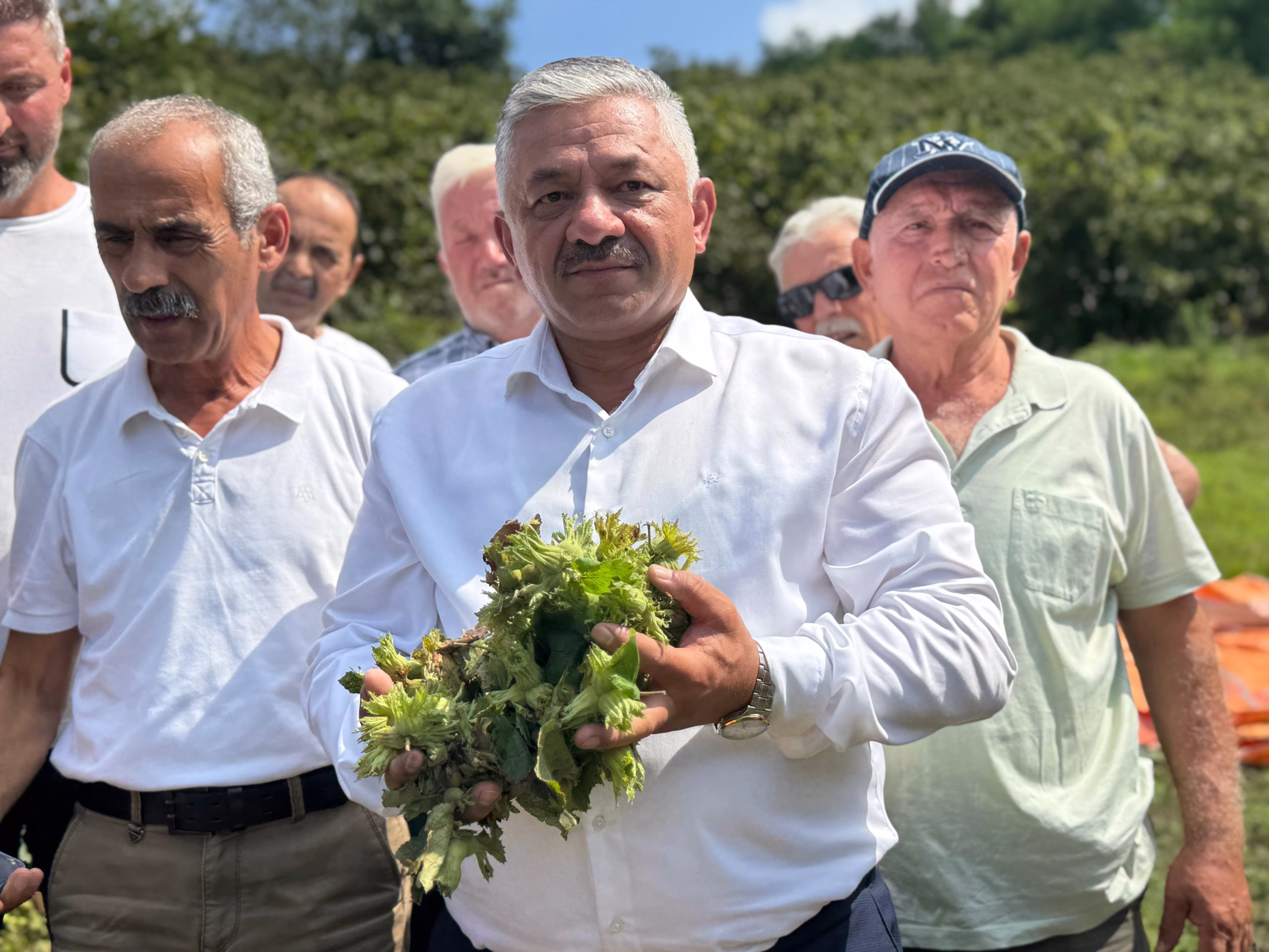 TZOB Üyesi Soydan: Fındığı tabanın üzerinde fiyat oluşması için kontrollü şekilde pazara indireceğiz