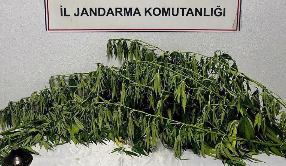 Kahramanmaraş’ta jandarma ekipleri tarafından son bir hafta içerisinde yapılan kontrollerde