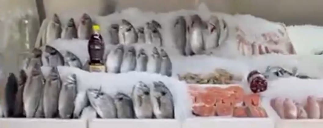 Kahramanmaraş’ta balık sezonunun başlamasıyla birlikte tezgâhlar yeniden şenleniyor. Balıkçılar Derneği