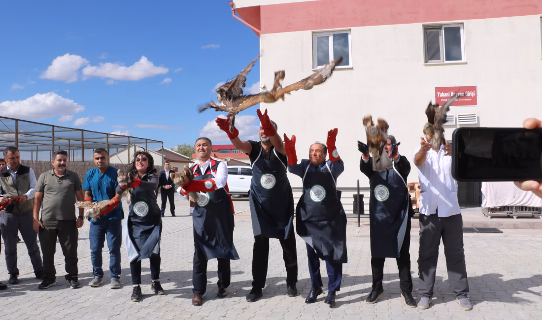 Ali Fuat GÜÇLÜER/AFYONKARAHİSAR, – AFYON Kocatepe Üniversitesi Yaban Hayatını Kurtarma
