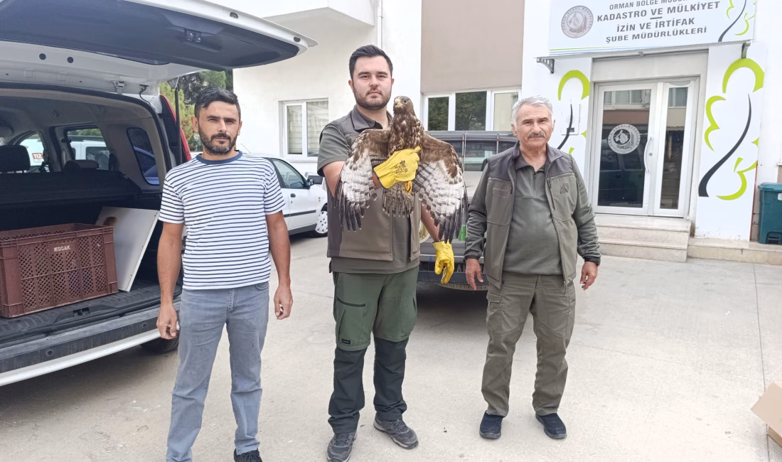 Şerife Serap KARA/AMASYA, – AMASYA’da Bekir Çifci, bahçesinde çalışırken yaralı