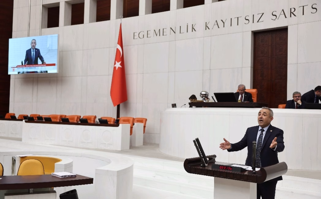 TBMM Genel Kurulu’nda söz alan DEVA Partisi Genel Başkan Yardımcısı