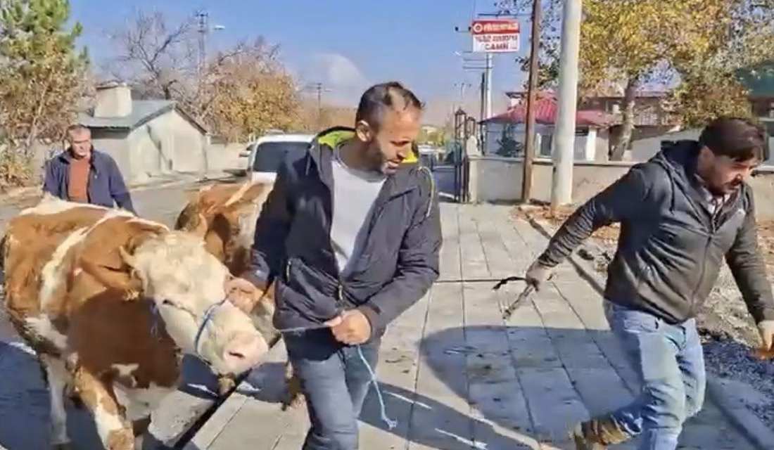 Kahramanmaraş’ın Afşin ilçesinde meydana gelen yangında tüm hayvanlarını kaybeden üreticiye,