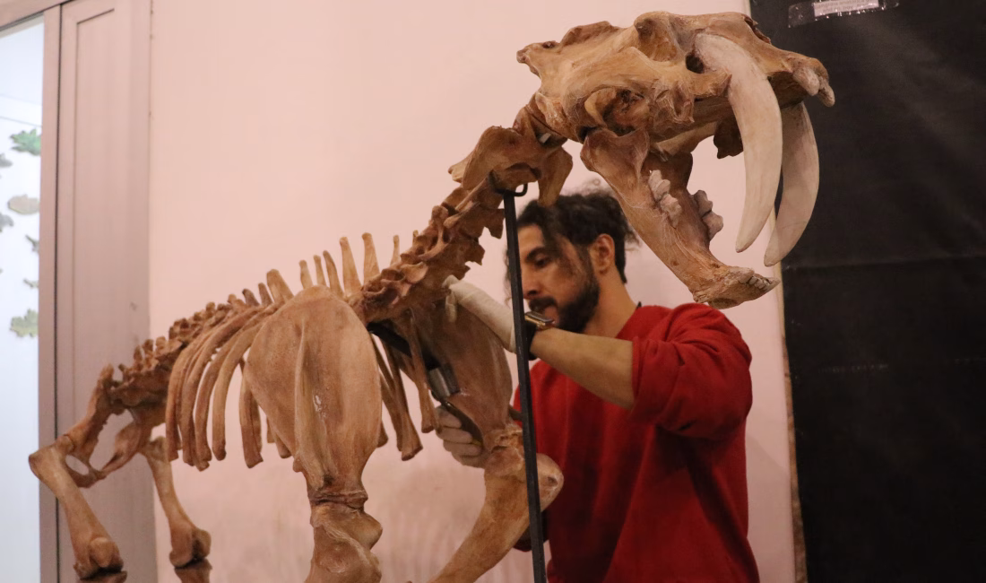 Samed Aydın SUN/KAYSERİ, – KAYSERİ’de Yamula Barajı kıyısındaki 7,5-7,7 milyon