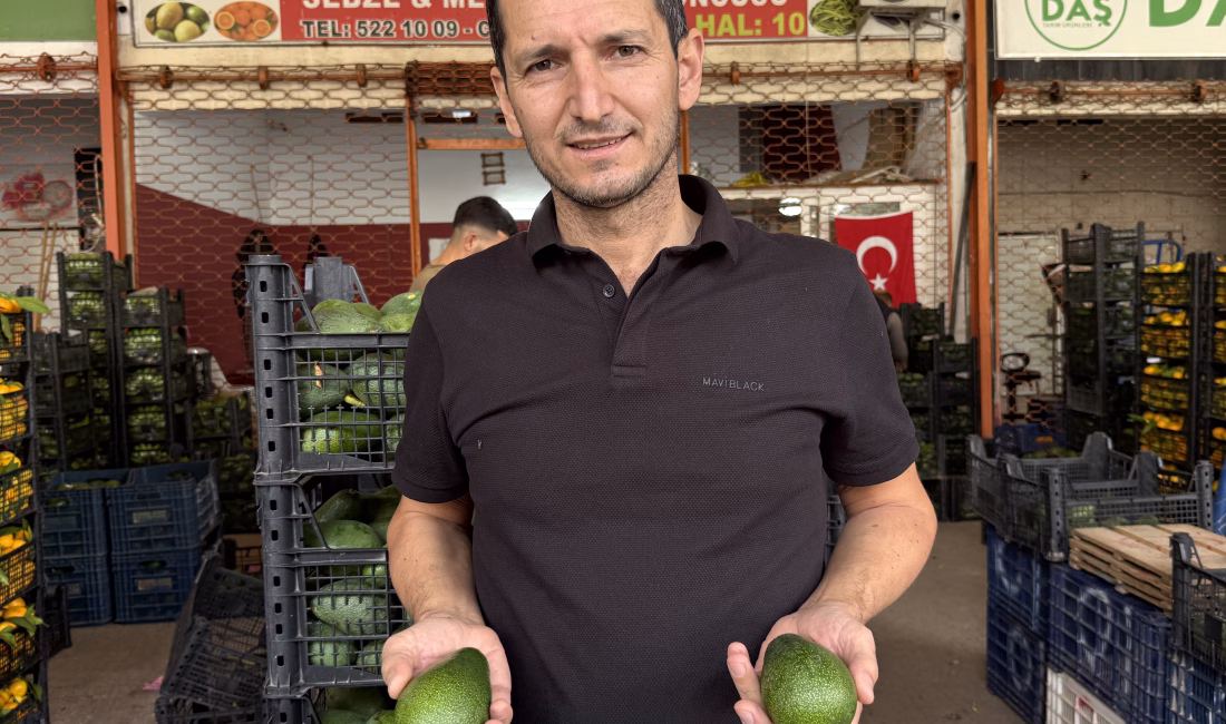 Alkın BİRİCİK/ALANYA (Antalya), -TÜRKİYE’deki avokado üretiminin merkezi konumundaki Antalya’nın Alanya