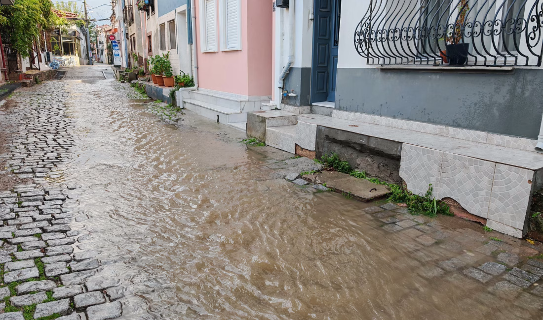 Kadri KAYA/ AYVALIK(Balıkesir), – BALIKESİR’in Ayvalık ilçesinde, önceki gün başlayan