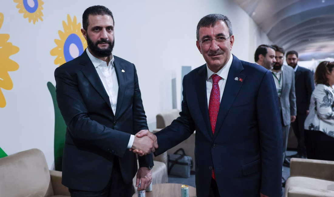 BREZİLYA, – CUMHURBAŞKANI Yardımcısı Cevdet Yılmaz, Birleşmiş Milletler İklim Değişikliği