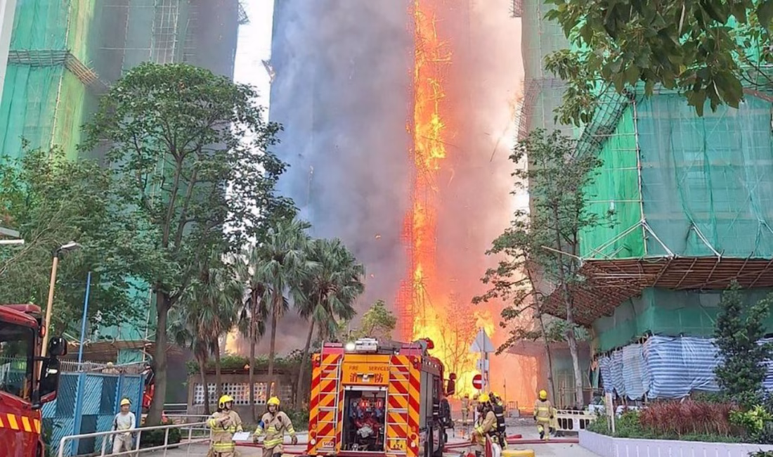 HONG KONG, – HONG Kong’un kuzeyindeki Tai Po bölgesindeki çok