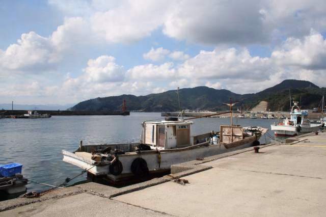 JAPONYA, – JAPONYA’nın Oita eyaletinde liman yakınındaki yerleşim bölgesinde çıkan