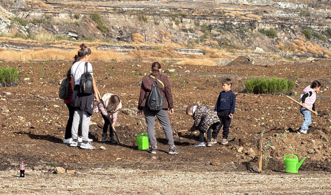 Fırat AKAY/BODRUM(Muğla), – MUĞLA’nın Milas ilçesinde Türkiye’nin en büyük eski