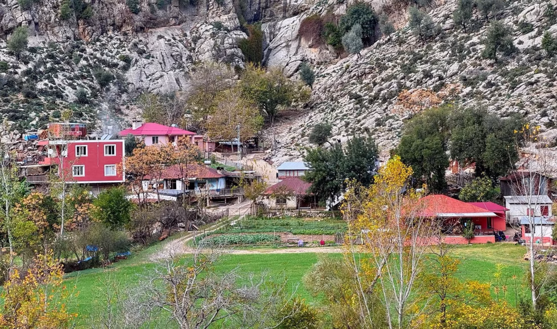 Osmaniye’nin Sumbas ilçesinde etkili olan yağışların ardından doğa adeta yeniden