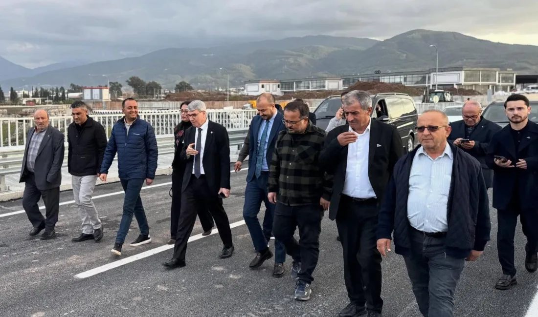 Osmaniye Milletvekili, TBMM Plan ve Bütçe Komisyon Üyesi ve Genel