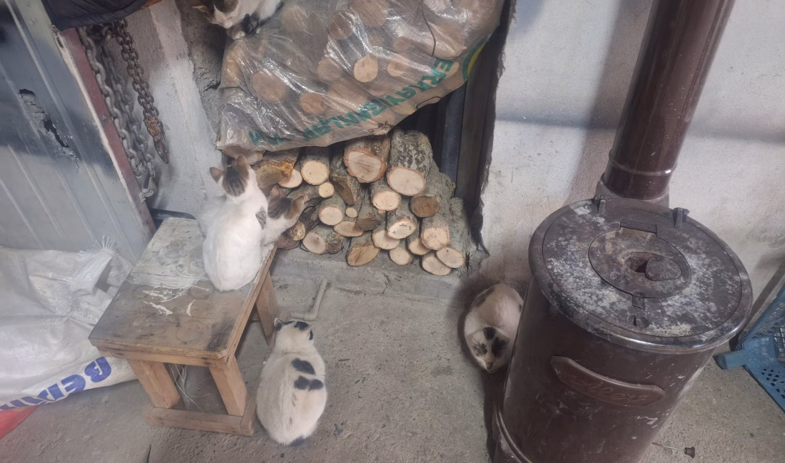 Kahramanmaraş’ın Andırın ilçesinde kaportacılık yapan Aytekin Selanikli, soğuk kış günlerinde
