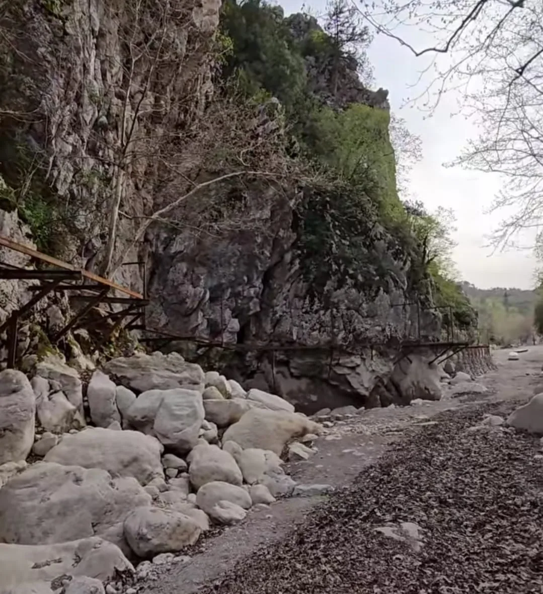 26589069 ab97 4580 bd8f 4b62a20f08e5