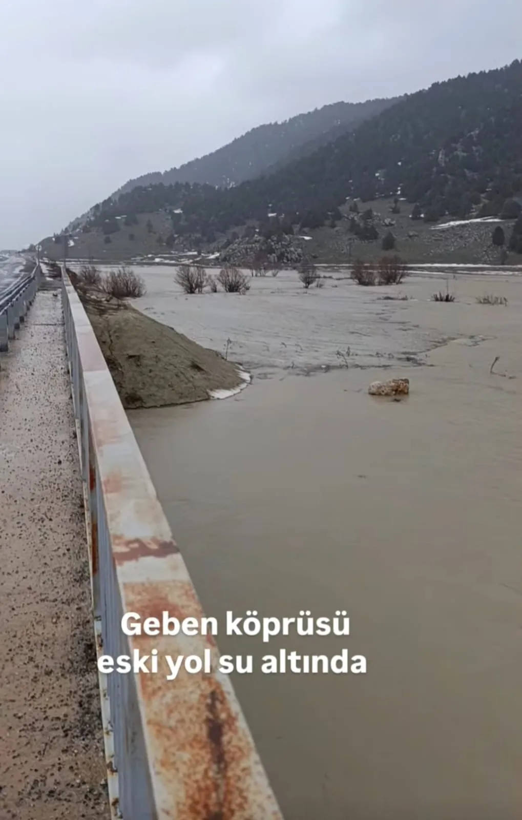 3460fc78 911a 4d9c b53a f2ab26490546