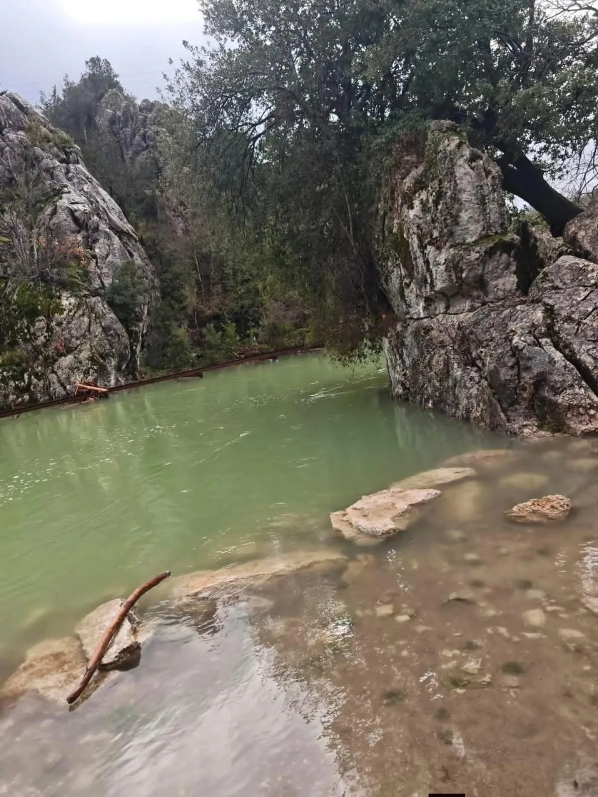 3a754cd9 39ed 492d b8a6 635ea0ce72a4