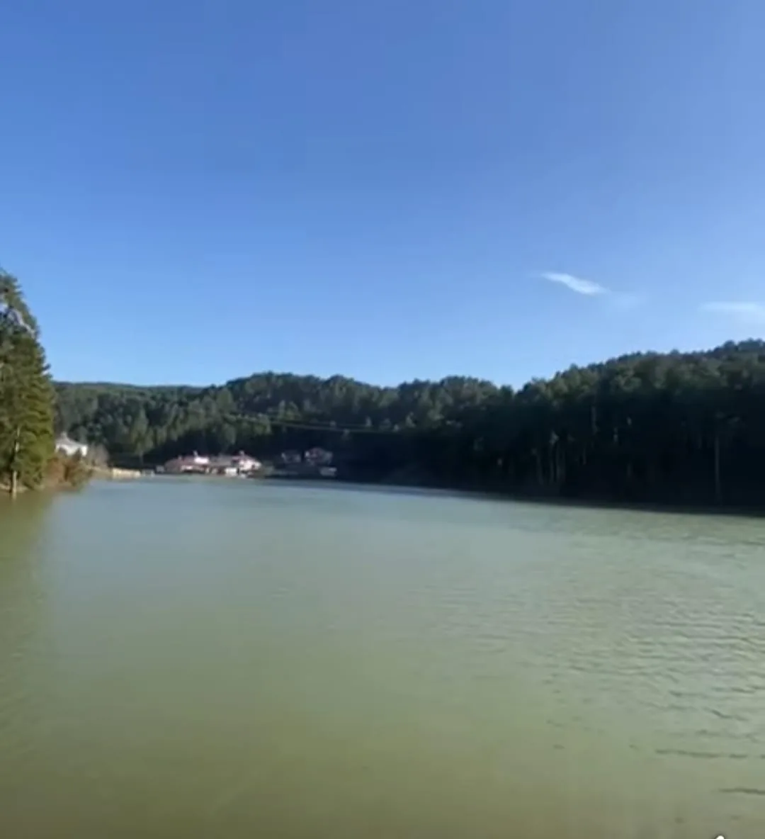 446ce3fa 152e 4bc2 8893 7fa29eb34033