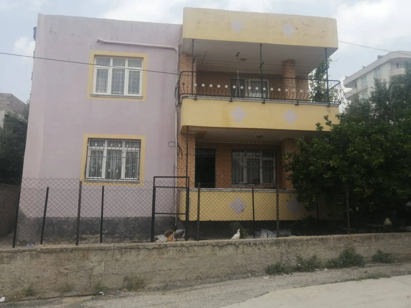 515425309 4115907182000989 685094155432455297 n