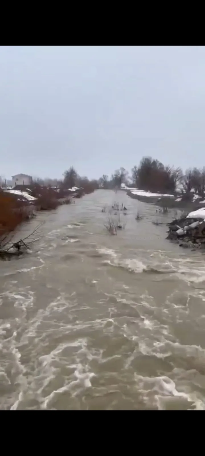 55d8ba7e 1398 4455 894a dab7719c8b0a