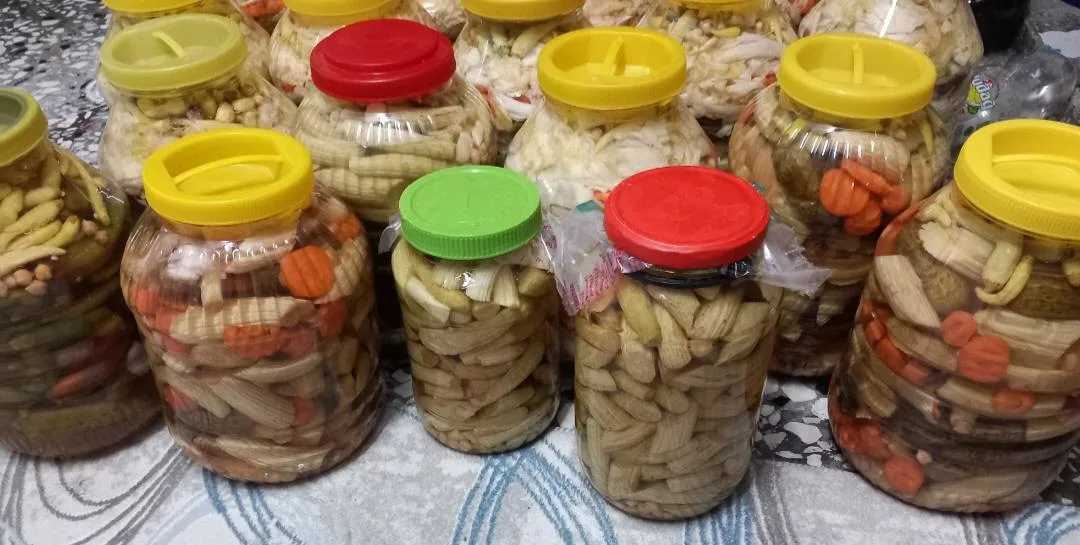 605305026 2888619164671069 7766974639066004459 n