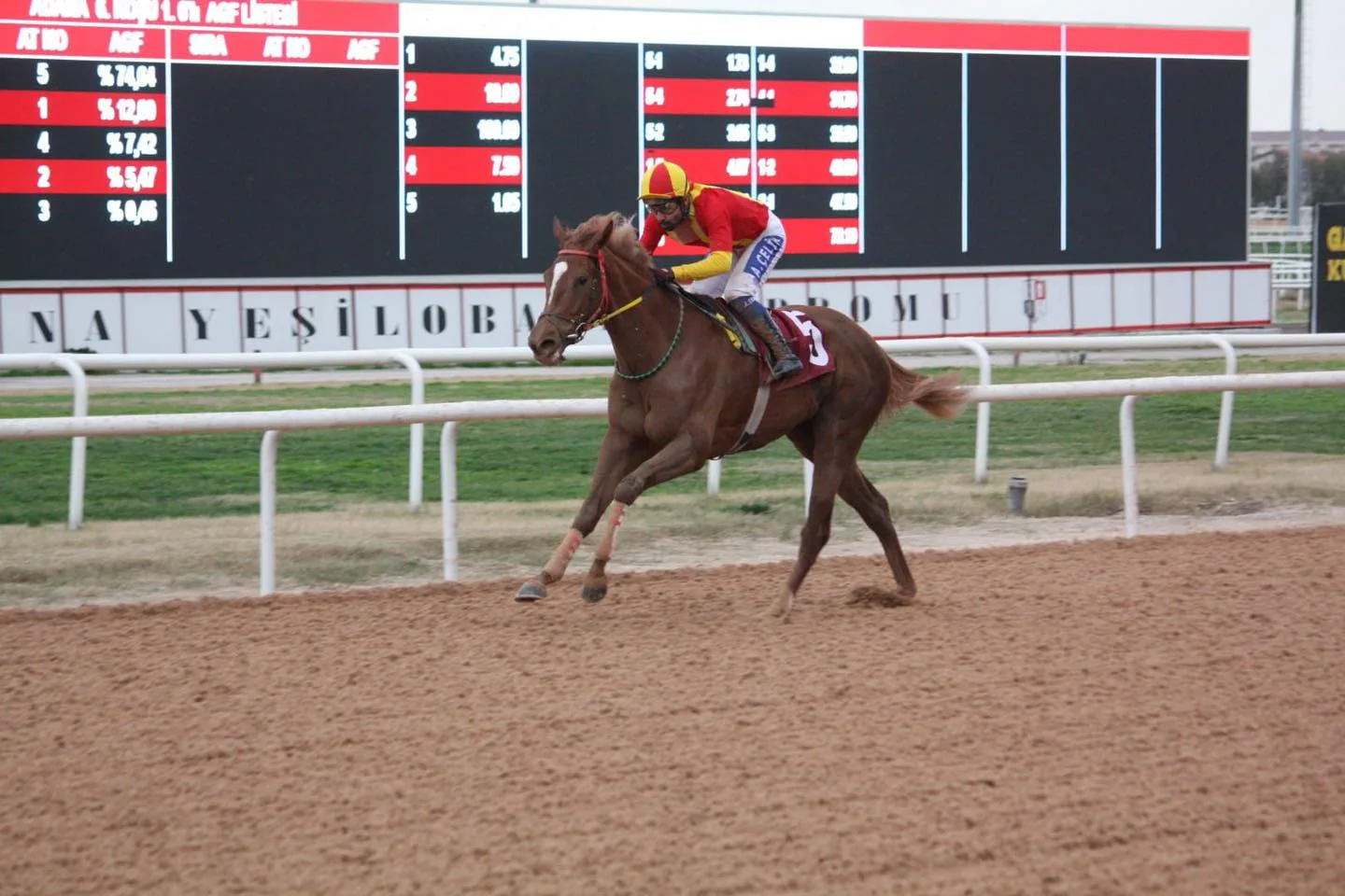 629795876 1232929999035017 8339481762838900540 n