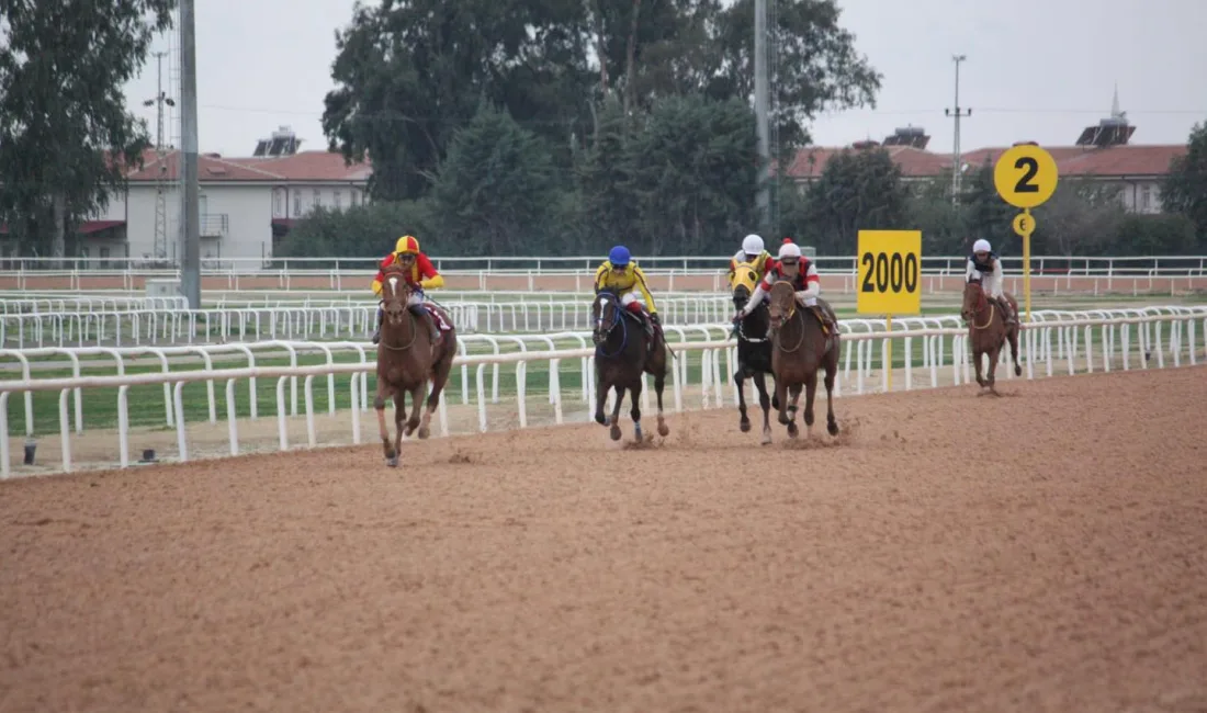 Adana Yeşiloba Hipodromu’nda düzenlenen Osmaniye Belediye Başkanlığı KV-6 Koşusu, büyük