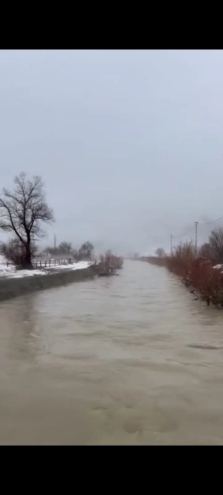 75232028 3994 400b 9cb2 55e58d558e57