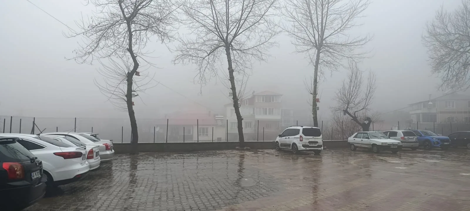 7d1bd0c4 563d 4de1 a7f8 e89316973461