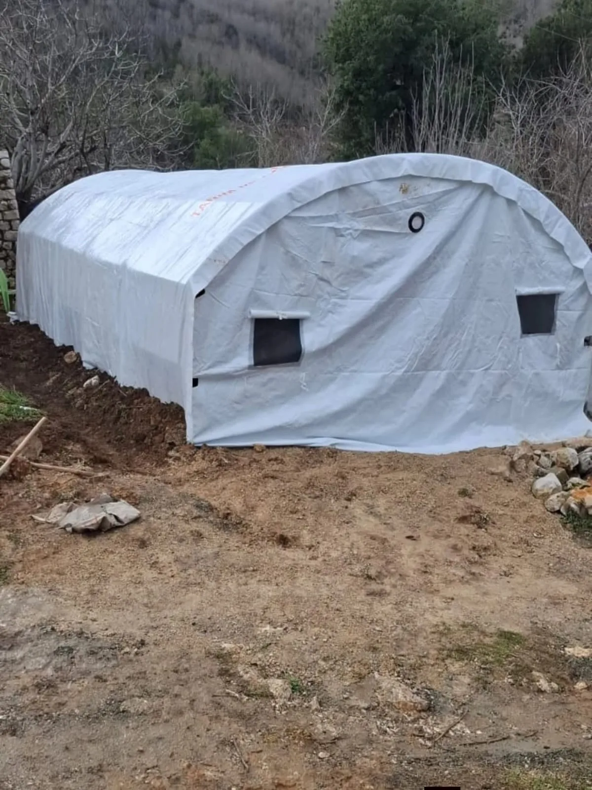 8419d2fc 9954 45f4 a241 c0bb6679eea3