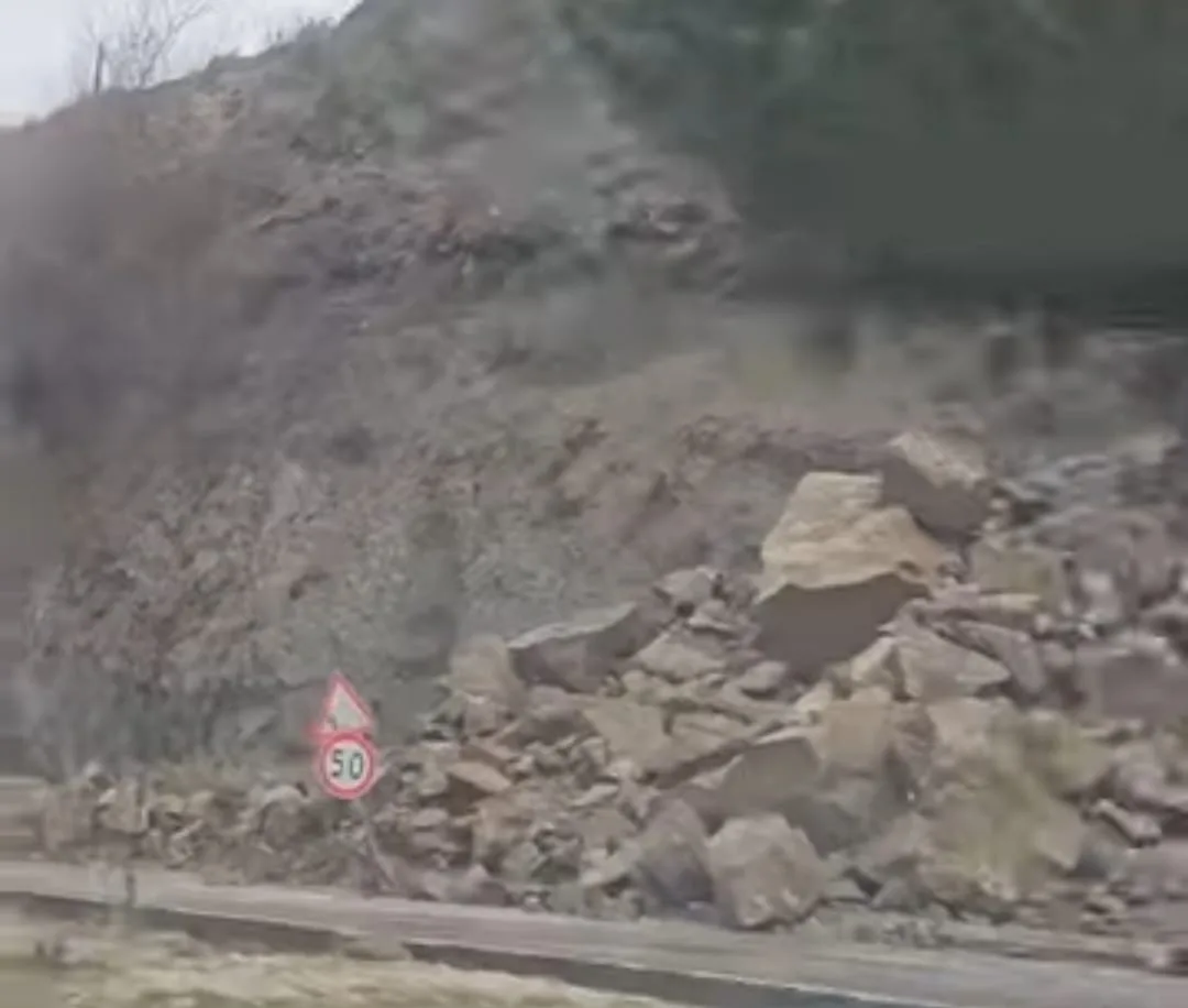 8e8d1c42 118a 4173 983f 5b79cf2a34cc