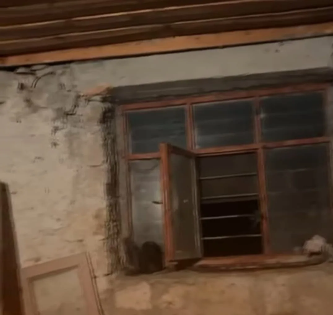 9275c50a 5ed0 4ddf 8331 b7540057666f