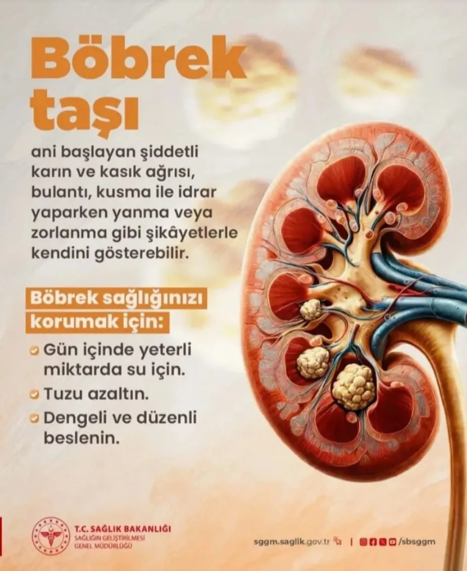 9adc7671 1ce5 4607 b8bd 7f685545edf0