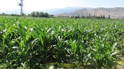 Kahramanmaraş’ın tarım üssü konumundaki Elbistan Ovası’nda 2026 sezonu öncesi üreticiler