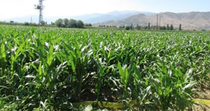 Kahramanmaraş’ın tarım üssü konumundaki Elbistan Ovası’nda 2026 sezonu öncesi üreticiler
