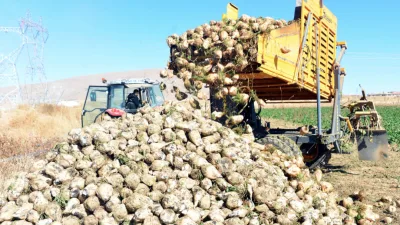 Kahramanmaraş’ın tarım merkezi Elbistan’da bahar öncesi hareketlilik başladı. Tarlalarda toprak