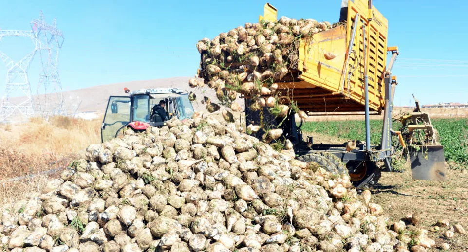 Elbistan’da Çiftçi Tarlada Konuştu: “Maliyet Yüksek Ama Üretmekten Vazgeçmeyiz”