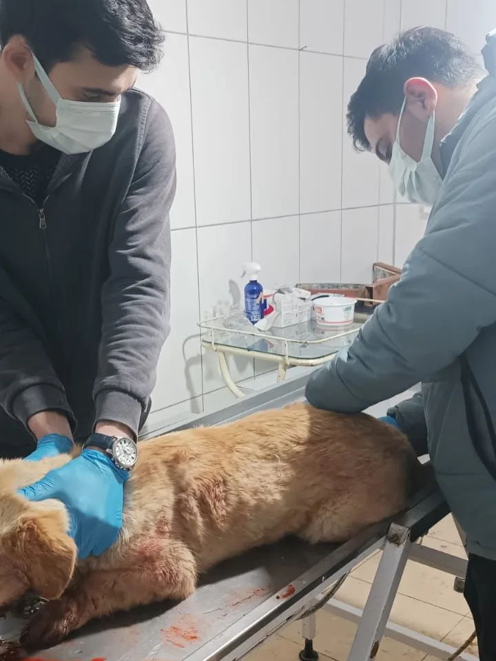 Tedavi Süreci Yakından Takip Ediliyor
