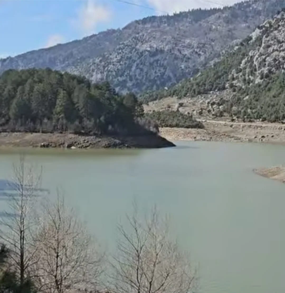 WhatsApp Image 2026 02 09 at 19.44.33