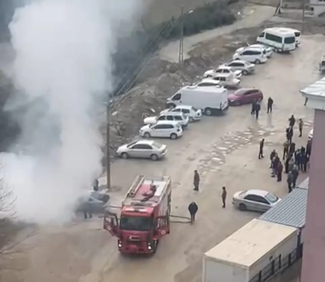 WhatsApp Image 2026 02 10 at 09.59.53 5