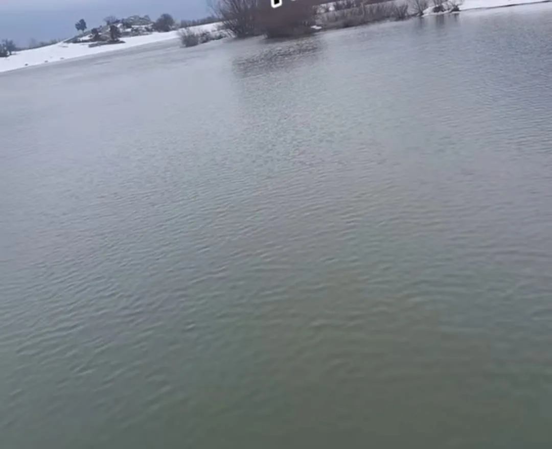 b00e02b5 d90c 4361 9e40 e02182690462