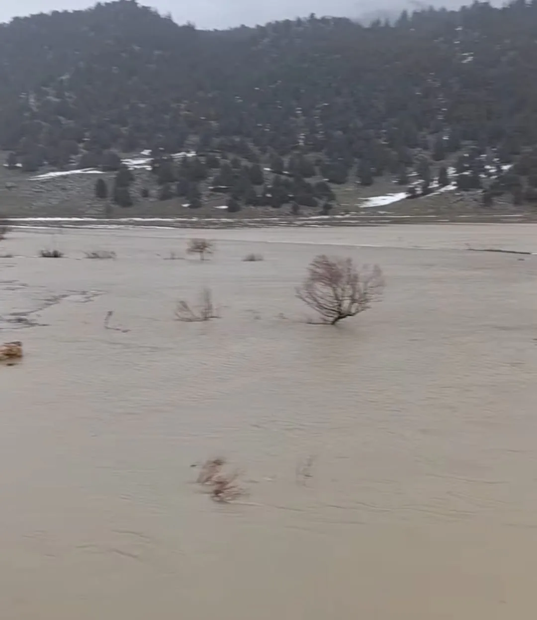 b1e2fc87 0ed7 428d 8016 2d36a532f6ca