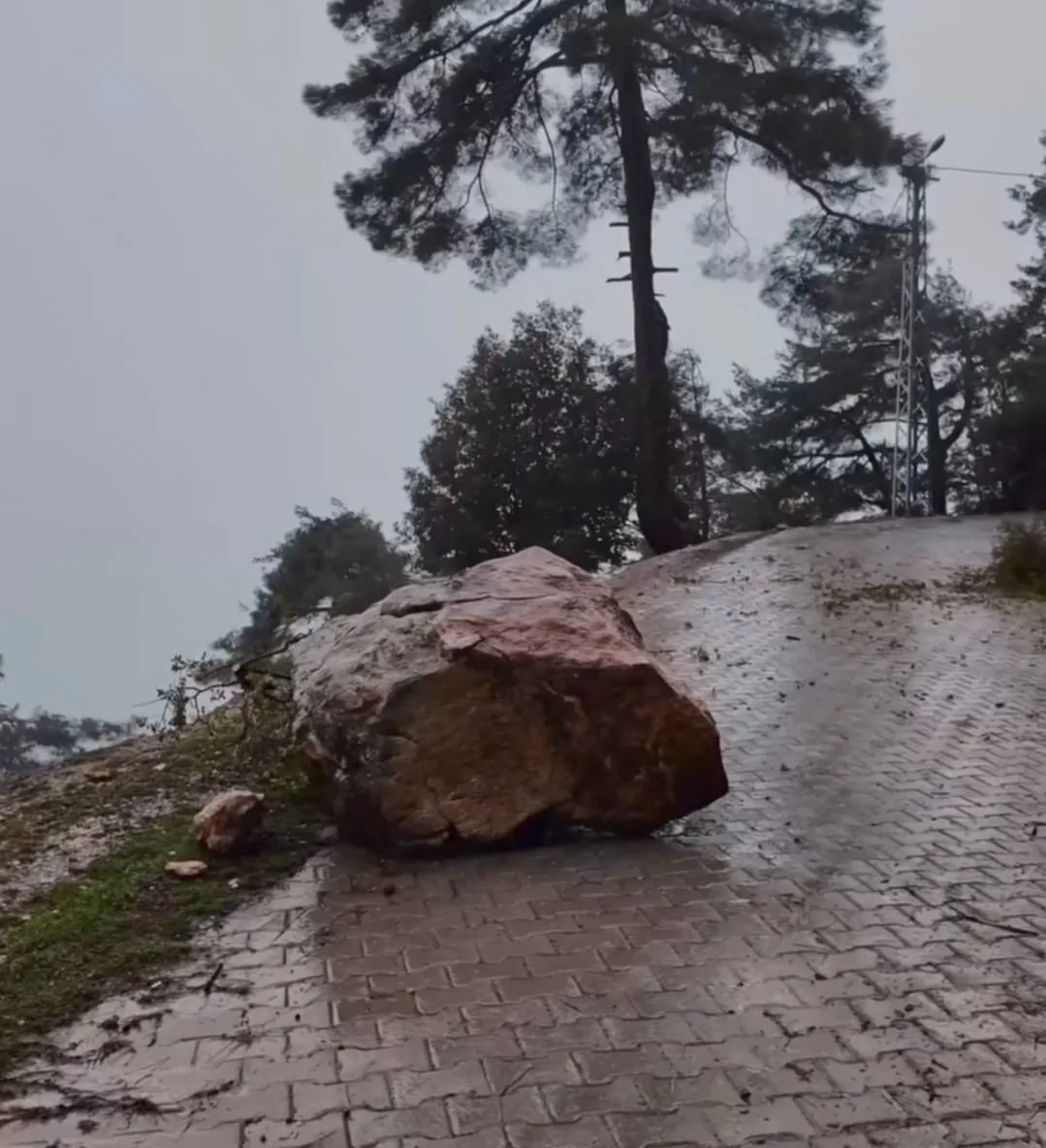 b557f04e 282c 48d6 aa19 e3dab08d0ea6