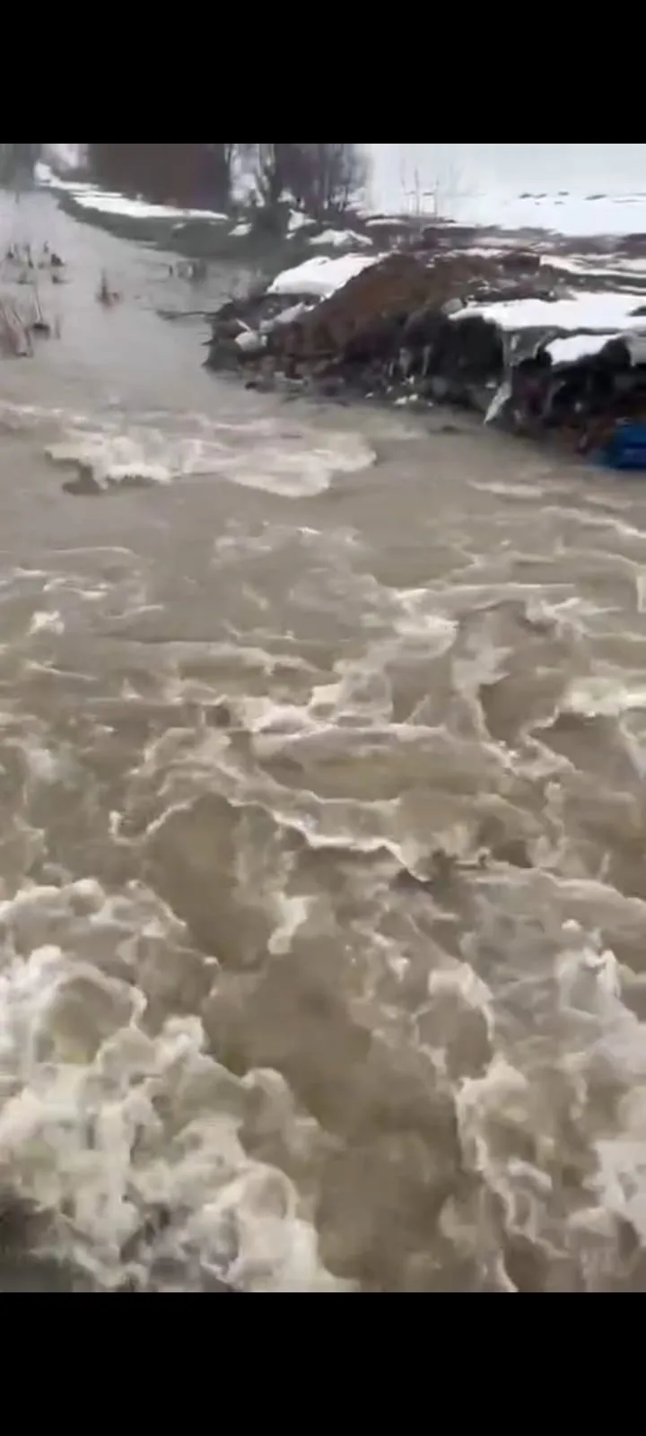 bd85560a edcd 406c 9d8e 525feb64caed 1