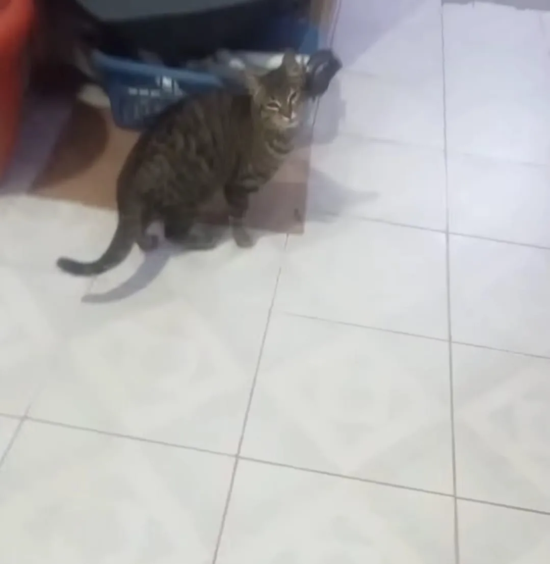 be323d3c 9ef3 4722 a09e 62dfdf8d7aec