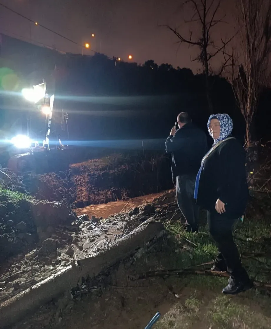 c2b0cdca e626 42b6 b532 ec1f894b8d2e e1771171546926