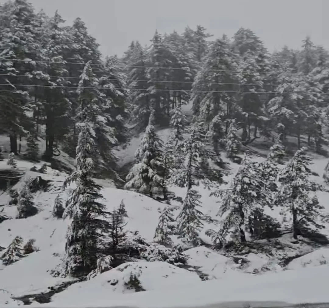 c7d65f48 7f0d 40da bdbf 58e5905bc298