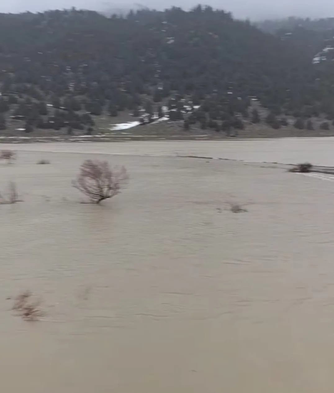 ca614e1c 2eb8 48c5 9962 5e2f6d47a7b9