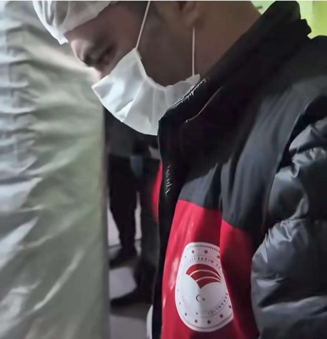 cad917a9 7cd4 4c40 b899 3f015d650069