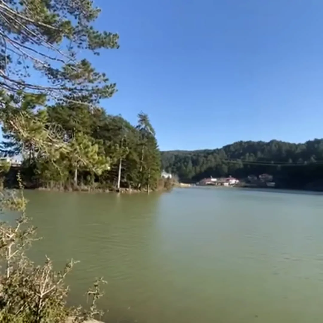 cd78f400 bd2e 459d 90d2 d22e030359aa