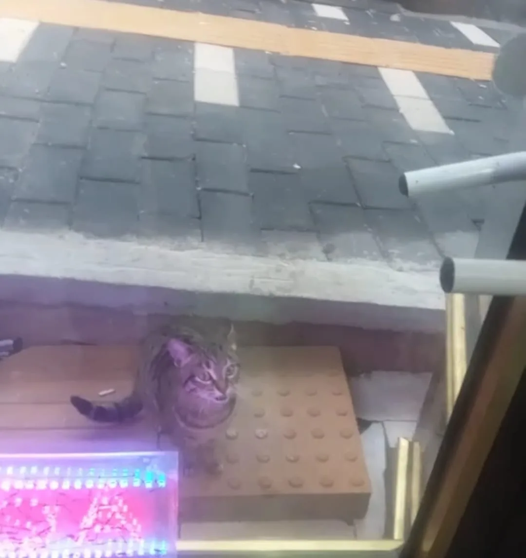 dc817bc2 0ed2 46ab 9e86 158f90659eba